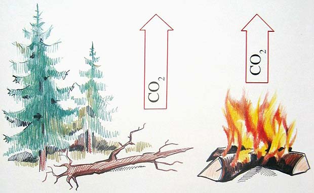 co2-krteislauf-3.jpg